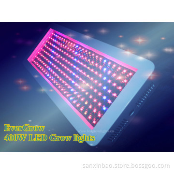 High Power 600W LED Grow Lights Hydroponics Good for Growth 100W-1000W